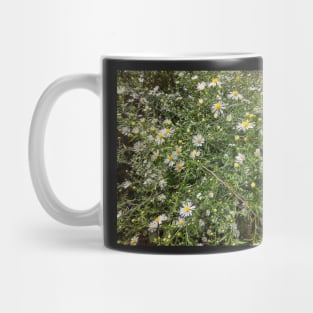 Autum Aster Wildflowers Mug